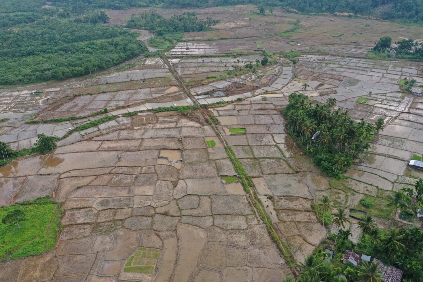 Dokumentasi LPHG Bunin foto 106