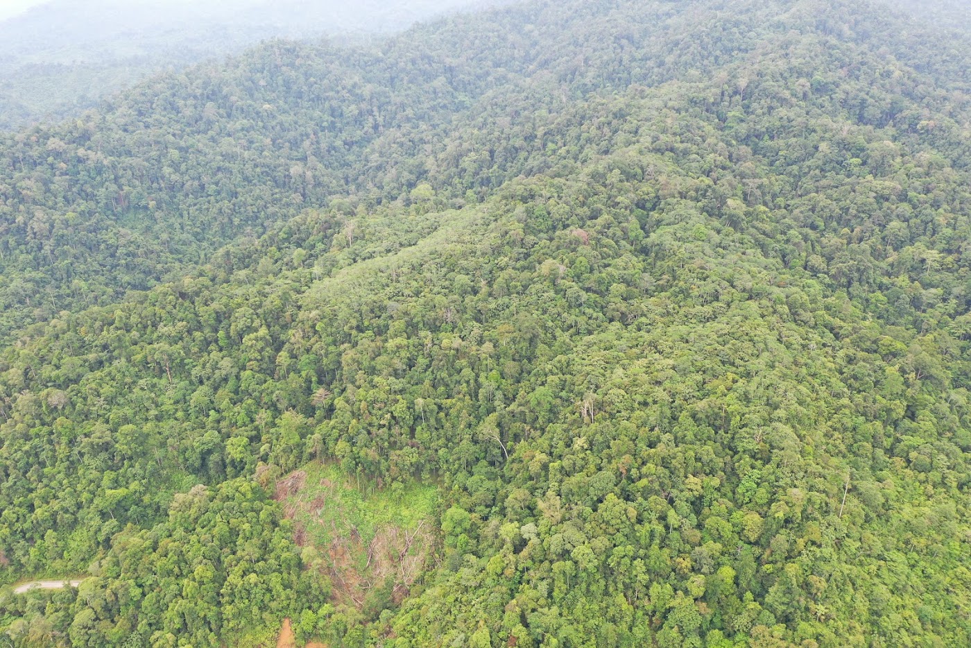 Dokumentasi LPHG Bunin foto 269